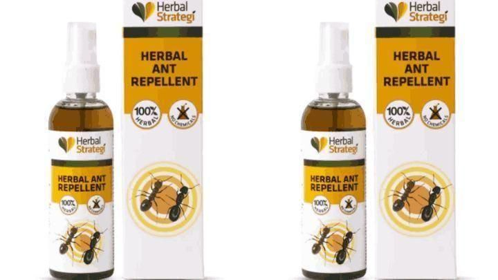 HERBAL Ant Repellent Spray Non-Toxic 100% Herbal Stain Free (Pack of 2)