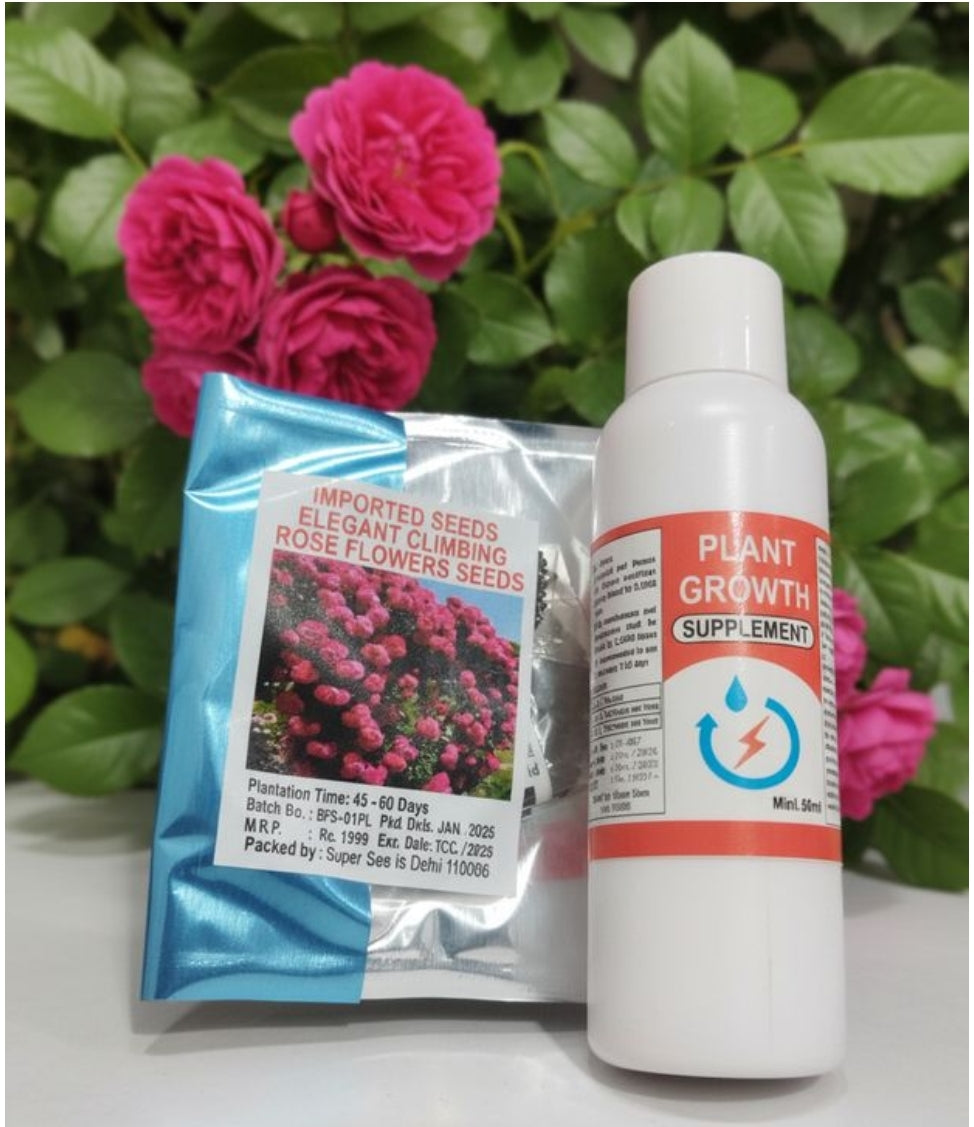 AI elegant climbing rose flower seeds pack 2