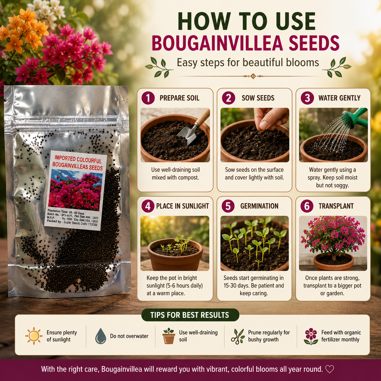 Mix Colour Bougainvillea Flower Seeds