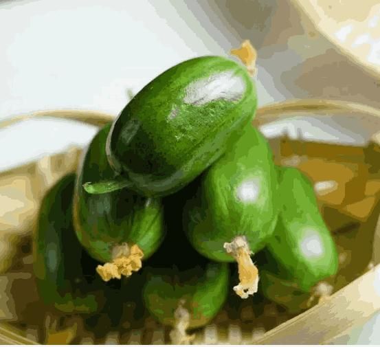 Cucumber (kheera) seeds