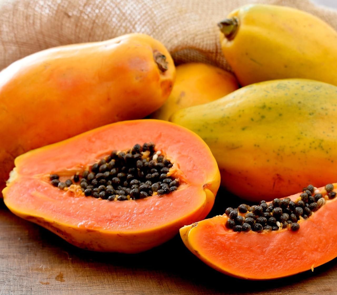 Papaya (Papita) Seeds and Free Plant Growth Serum