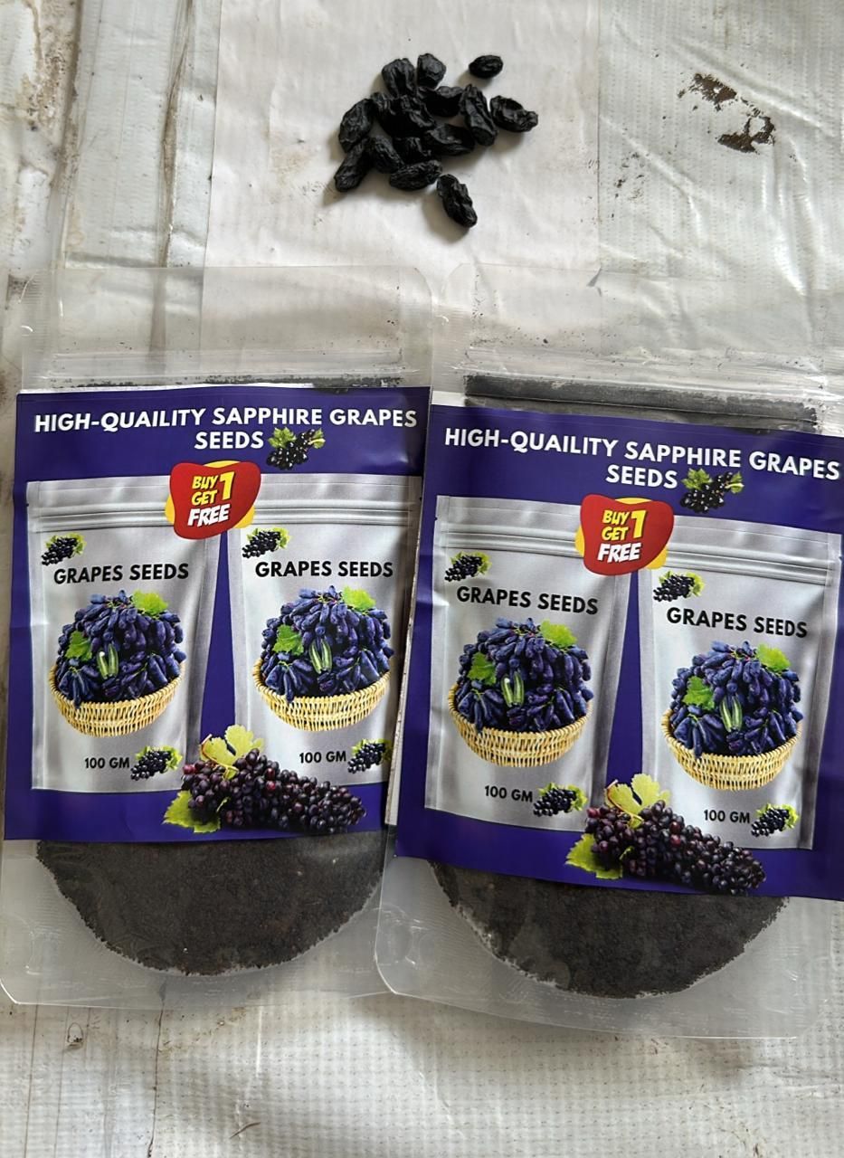 Sweet Sapphire Grapes Seed Buy 10 Get 10 Free