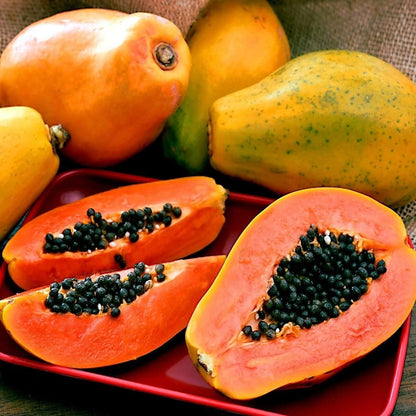 Papaya (Papita) Seeds and Free Plant Growth Serum