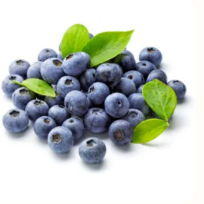 Giant Blueberry Fruit Seeds and Get Free plant booster