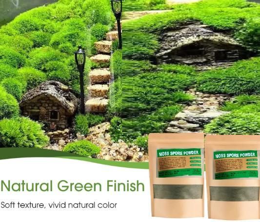 Moss Spore Powder (Grass) Seeds Buy 1 Get 1 Free