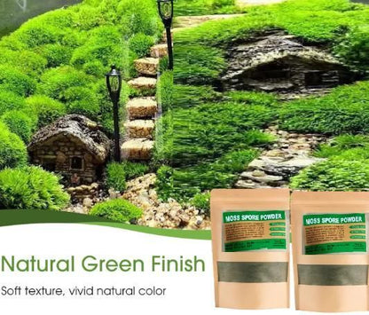 Moss Spore Powder (Grass) Seeds Buy 1 Get 1 Free