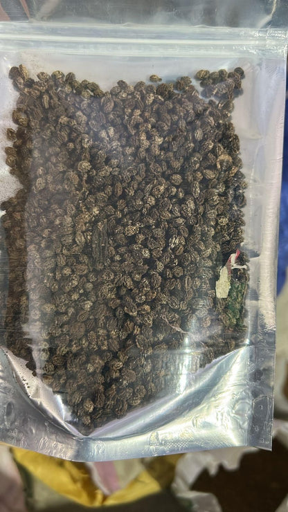 Papaya (Papita) Seeds and Free Plant Growth Serum