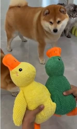 Stuffed Squeaky Plush Dog & cat Toy for Pets Engagement