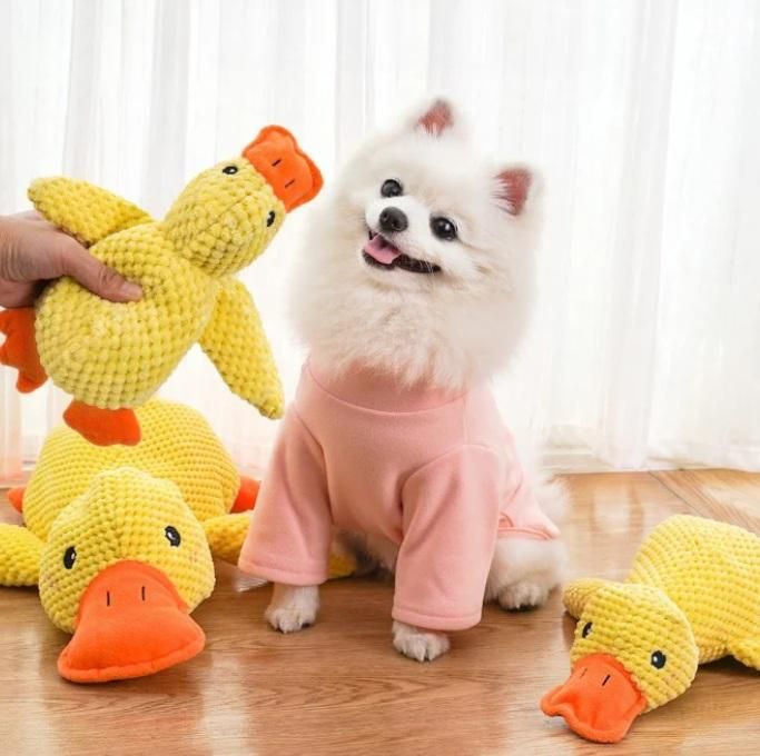 Stuffed Squeaky Plush Dog & cat Toy for Pets Engagement