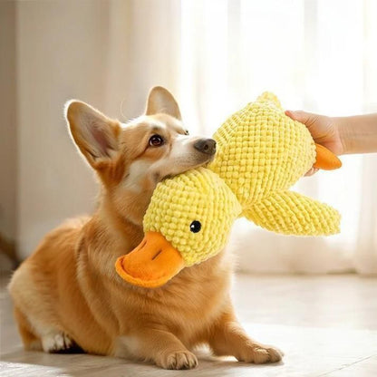 Stuffed Squeaky Plush Dog & cat Toy for Pets Engagement