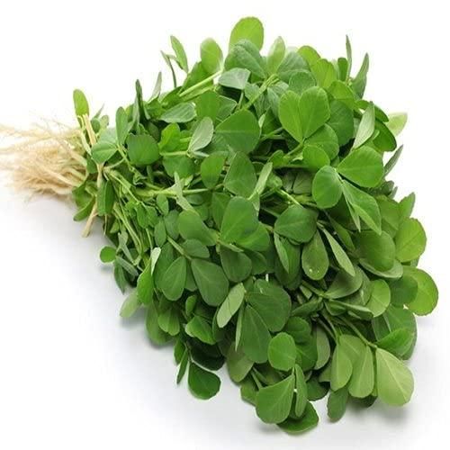 Fenugreek (Methi) Vegetable Seeds (Pack of 20)