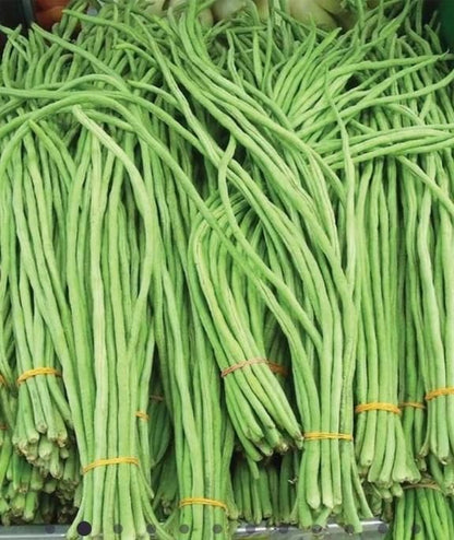 Super-Long Green Bean Seeds Buy 1 Get 1 Free
