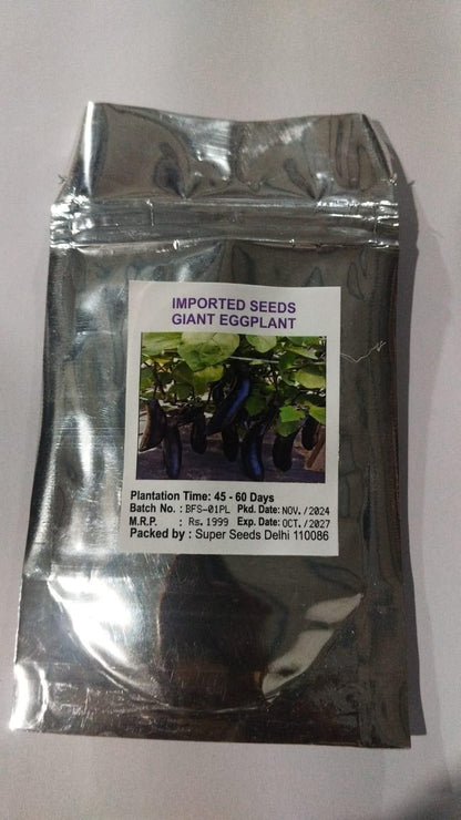 Eggplant Seeds