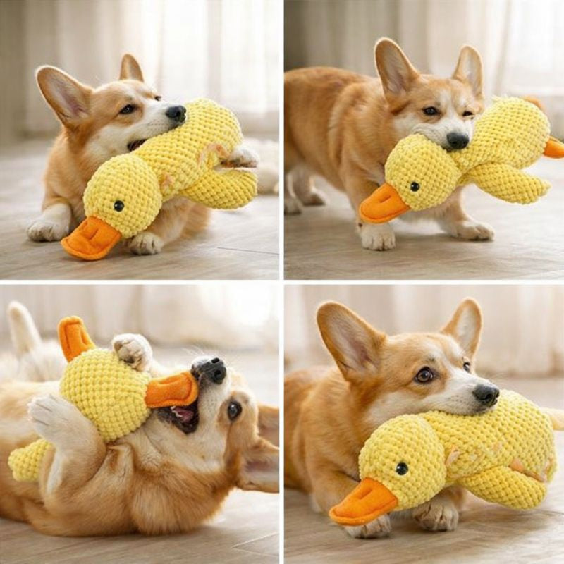 Stuffed Squeaky Plush Dog & cat Toy for Pets Engagement