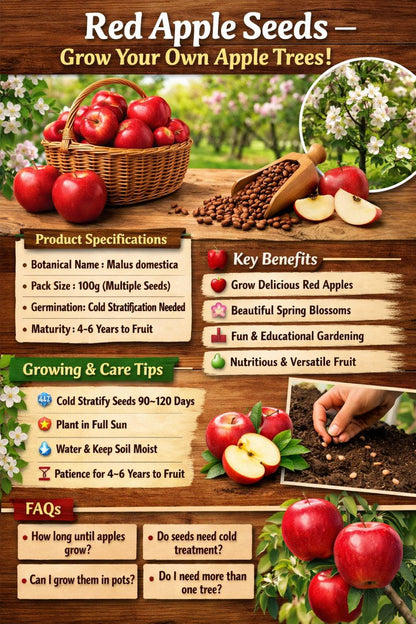 Red Apple Seeds