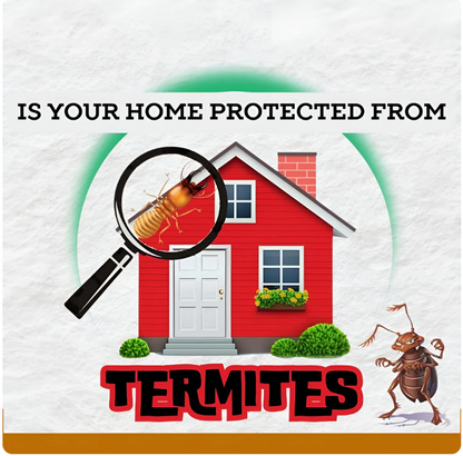 Termite Killer Spray 150ML Pack of 3