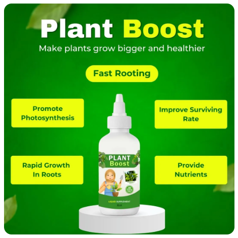 COMBO DEAL PLANT BOOST 3 WITH FLOWER SEEDS PACK OF 2