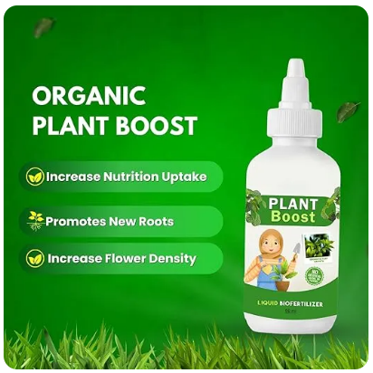 COMBO DEAL PLANT BOOST 3 WITH FLOWER SEEDS PACK OF 2