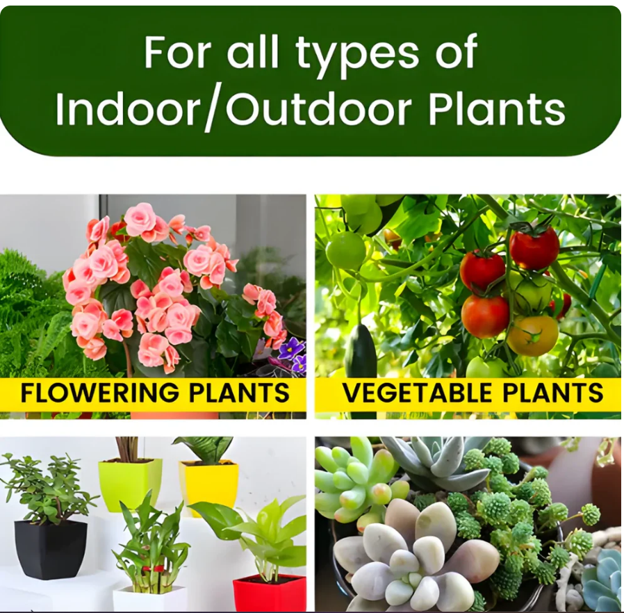 Plant Grow Fertilizer Sticks for Plants (Buy 1 get 1 free)