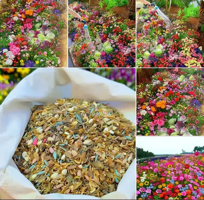 Buy Varieties of Flower Seeds (Pack of 100) And Get Plant Growth Supplement Free