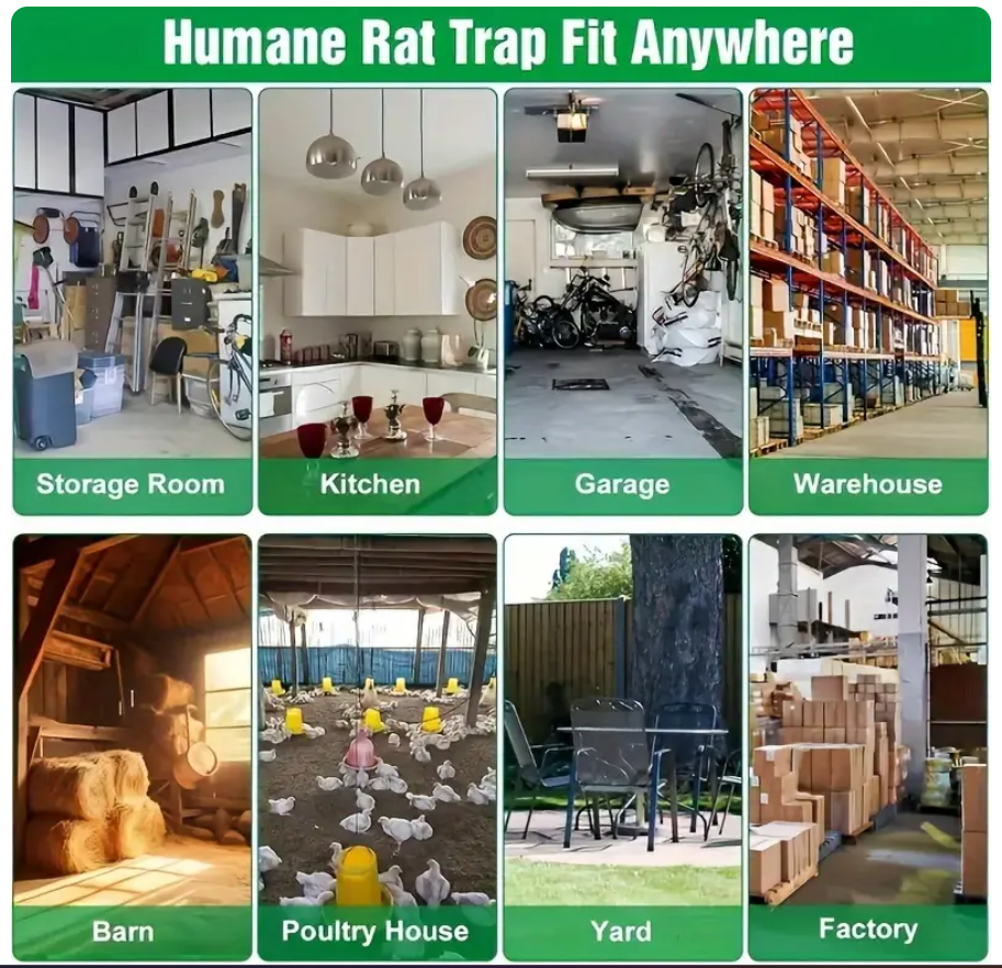 Mouse Trap Iron Cage Pinjra