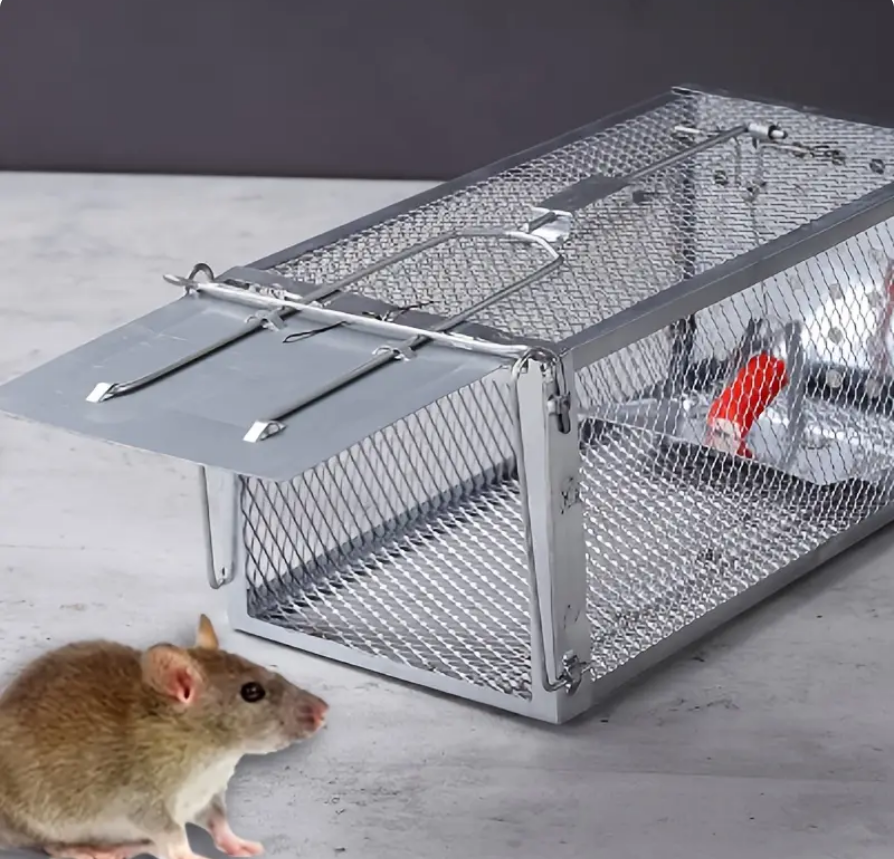 Mouse Trap Iron Cage Pinjra