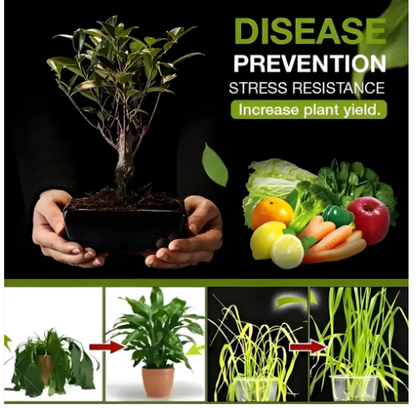 Soil Activated Treasure Premium Soil Activator Buy 1 Get 1 Free