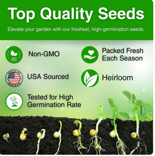 Rose Primrose Seeds Buy 1 Get 1 Free with Plant Growth Supplement