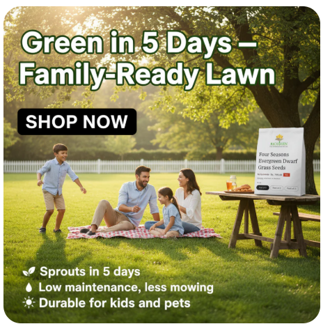 Grass Seeds Buy 100 seeds and Get 100 seeds Free
