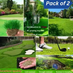 Grass Seeds Buy 100 seeds and Get 100 seeds Free