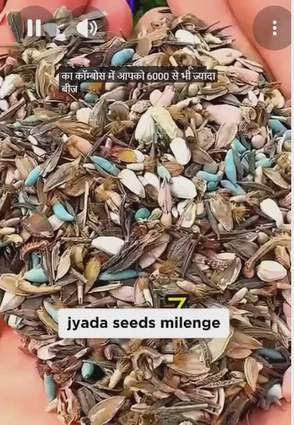 Buy Varieties of Flower Seeds (Pack of 100) And Get Plant Growth Supplement Free