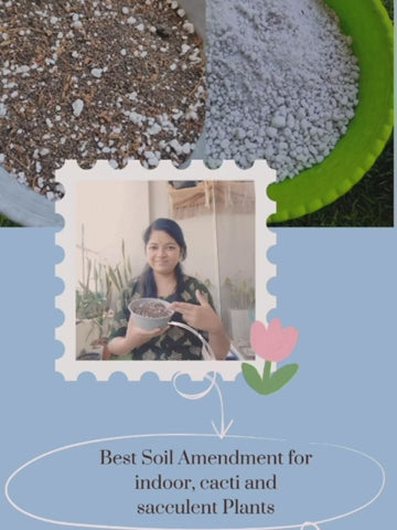 Natural Perlite for Organic Gardening 200gm
